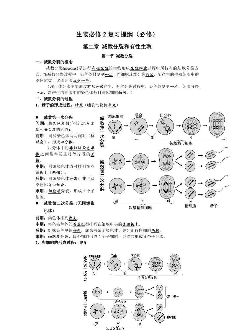 高中生物必修2知识点梳理