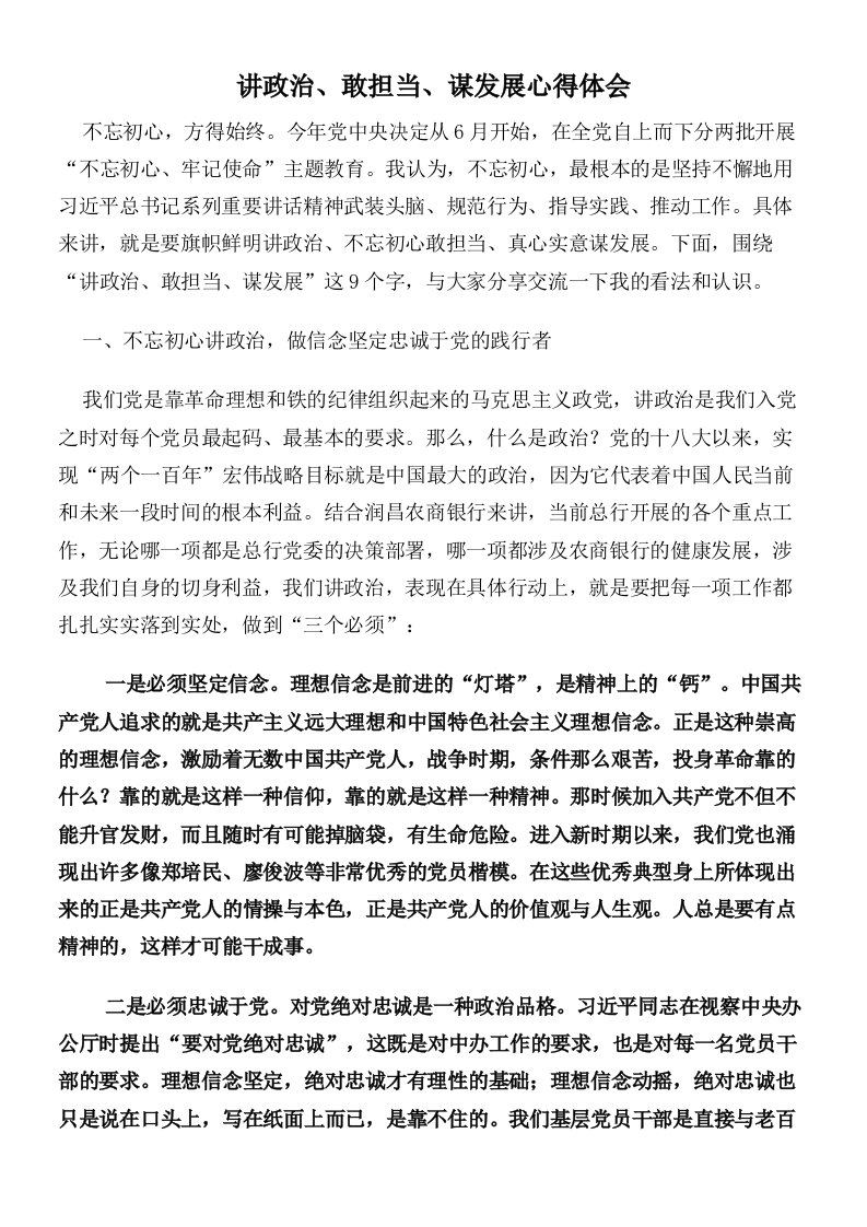 讲政治敢担当谋发展心得体会