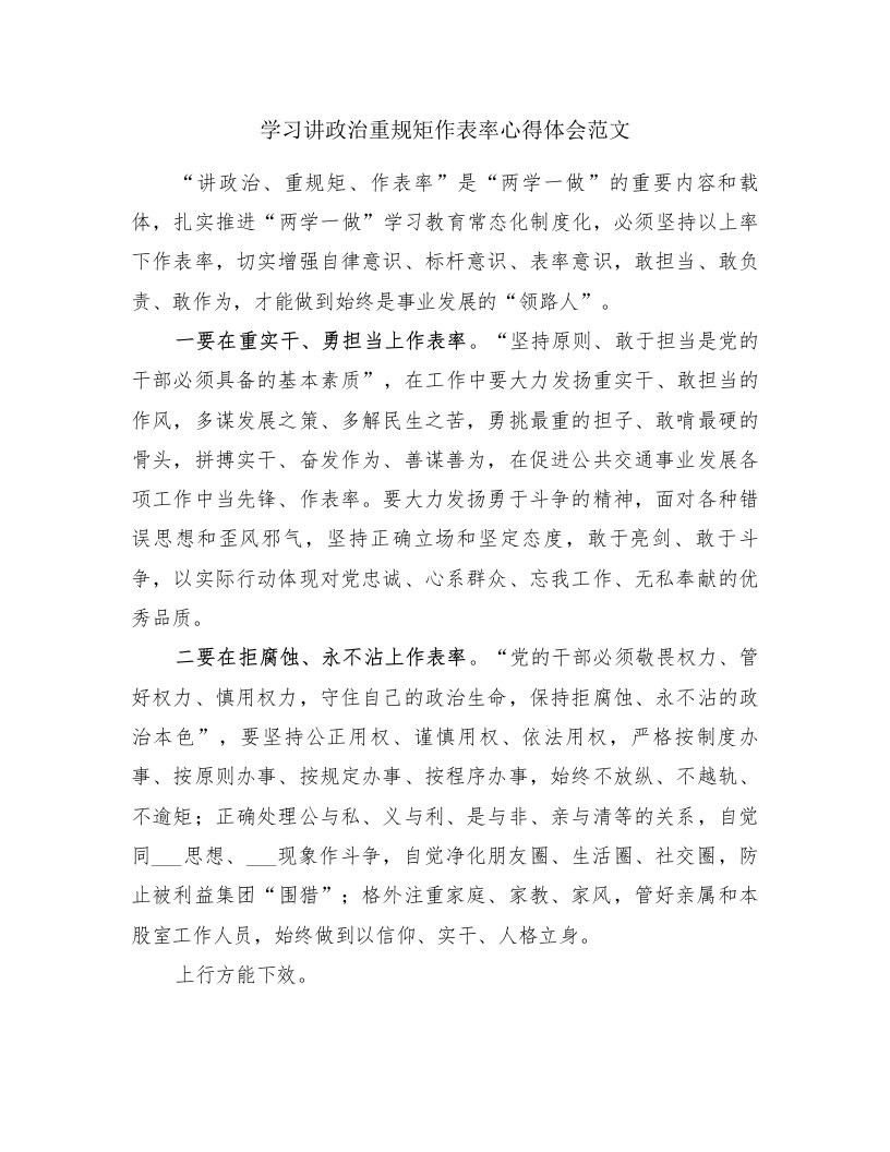 学习讲政治重规矩作表率心得体会范文