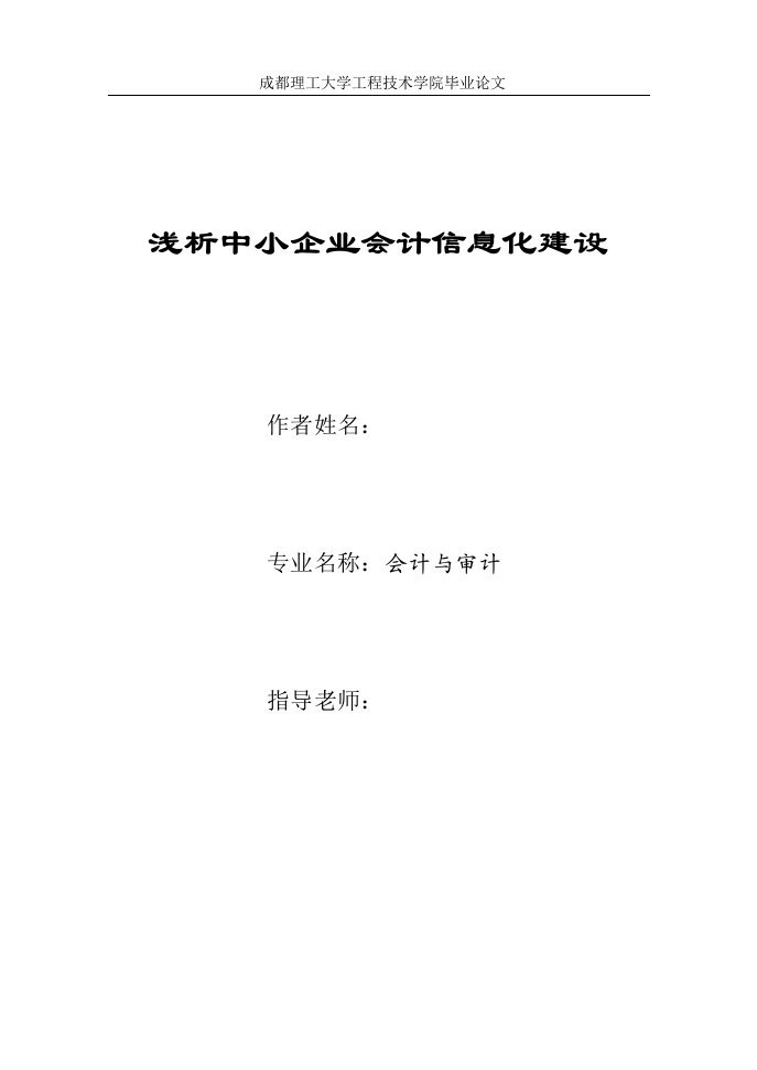 毕业论文-浅析中小企业会计信息化建设