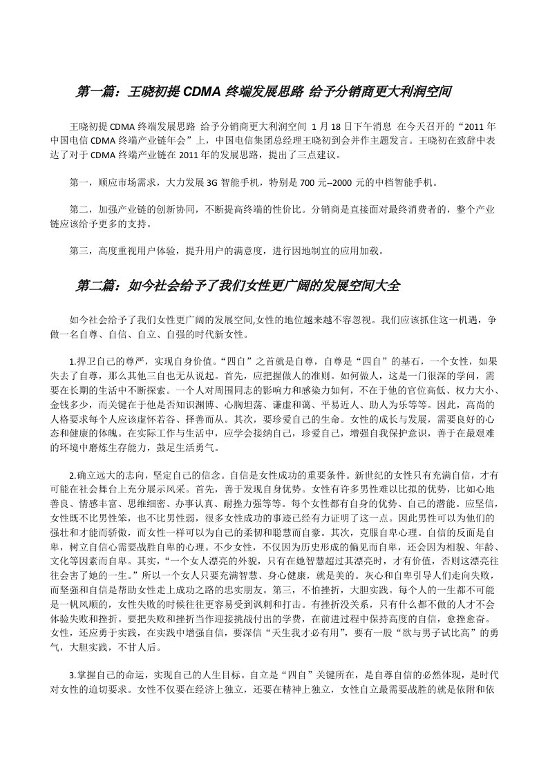 王晓初提CDMA终端发展思路给予分销商更大利润空间[修改版]