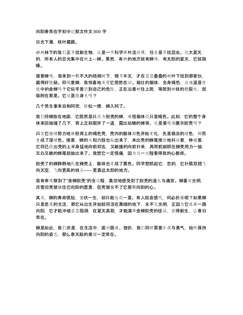 向阳春常在字初中记叙文作文800字