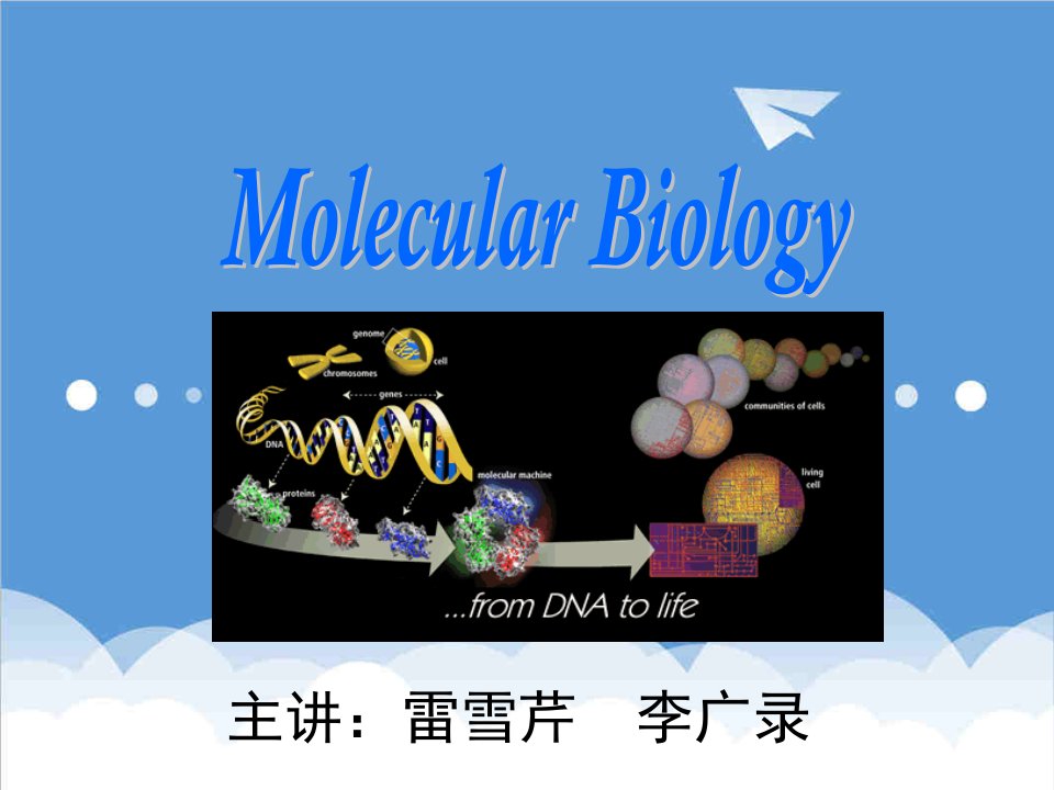 生物科技-现代分子生物学