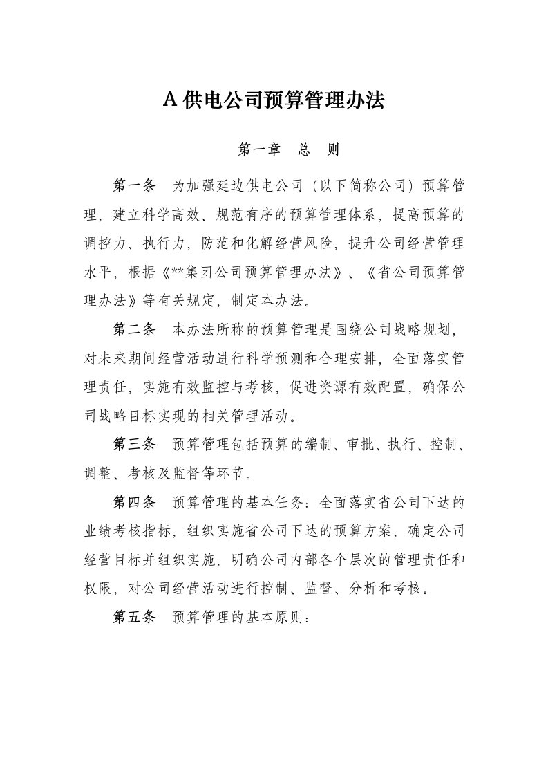 A公司预算管理办法