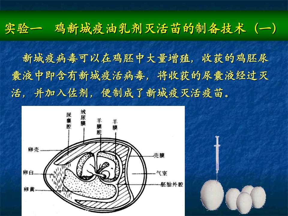 实验一