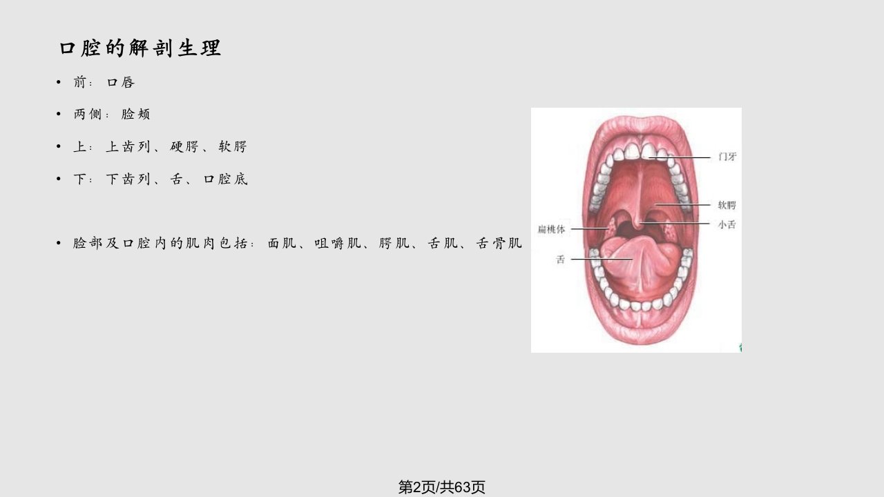 吞咽困难的评定与康复要点