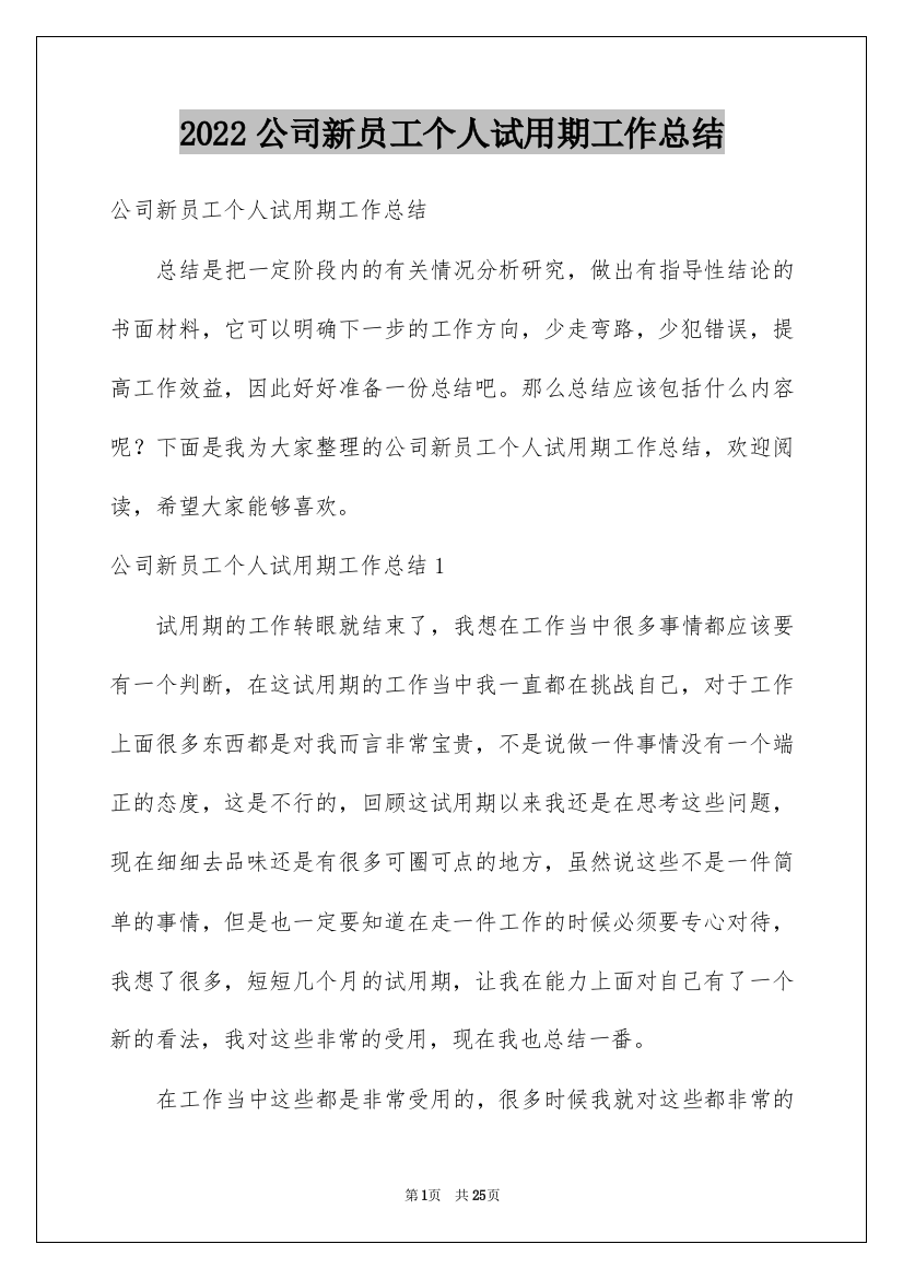 2022公司新员工个人试用期工作总结