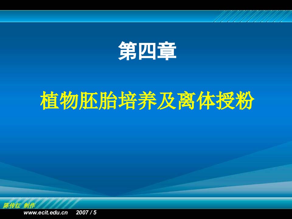 植物组织培养第四章植物胚胎培养及离体授粉ppt演示文稿