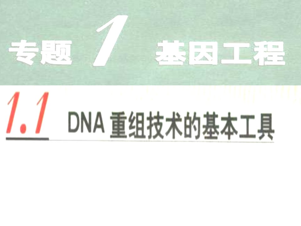 人教-选修3-基因工程-DNA重组技术的基本工具2ppt课件