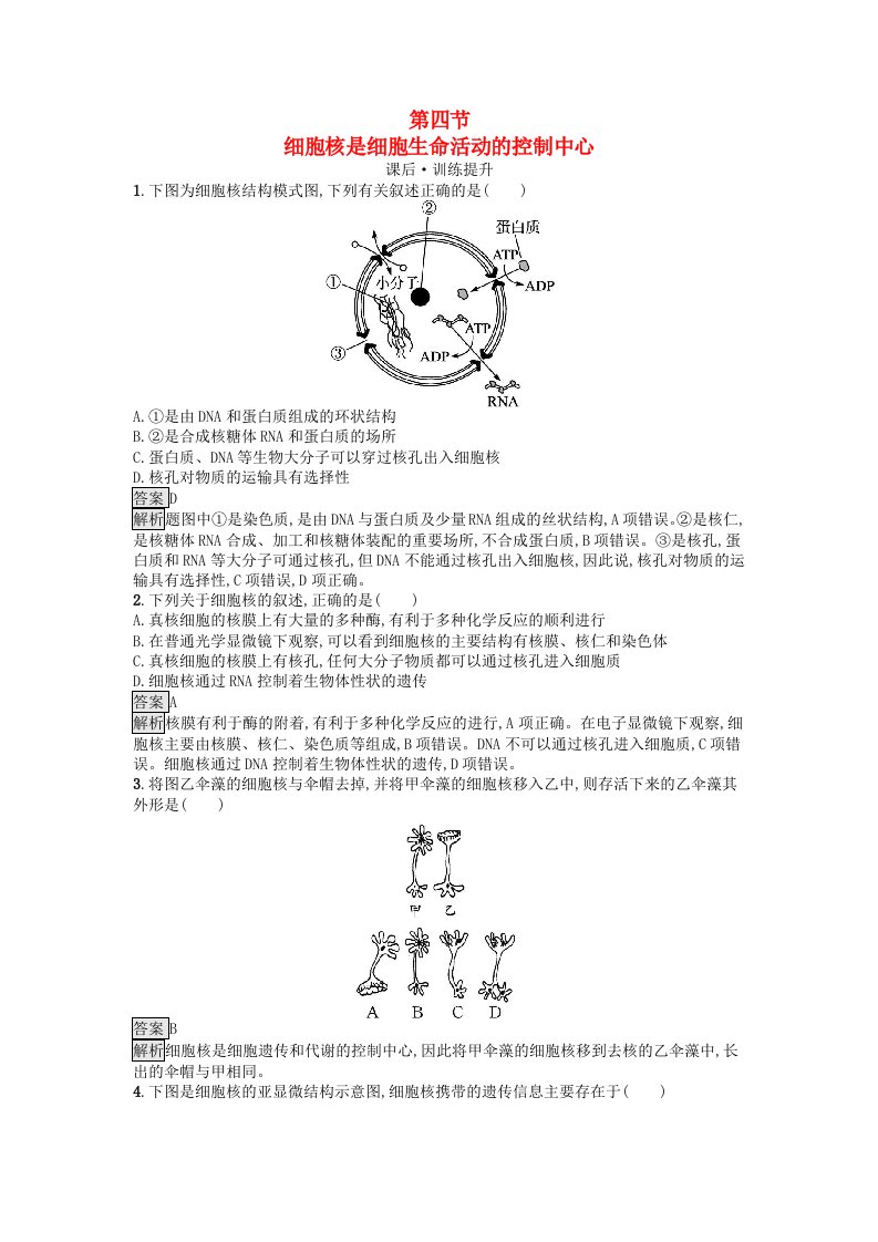 广西专版2023_2024学年新教材高中生物第2章细胞的结构第4节细胞核是细胞生命活动的控制中心课后训练浙科版必修1