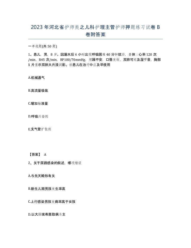 2023年河北省护师类之儿科护理主管护师押题练习试卷B卷附答案