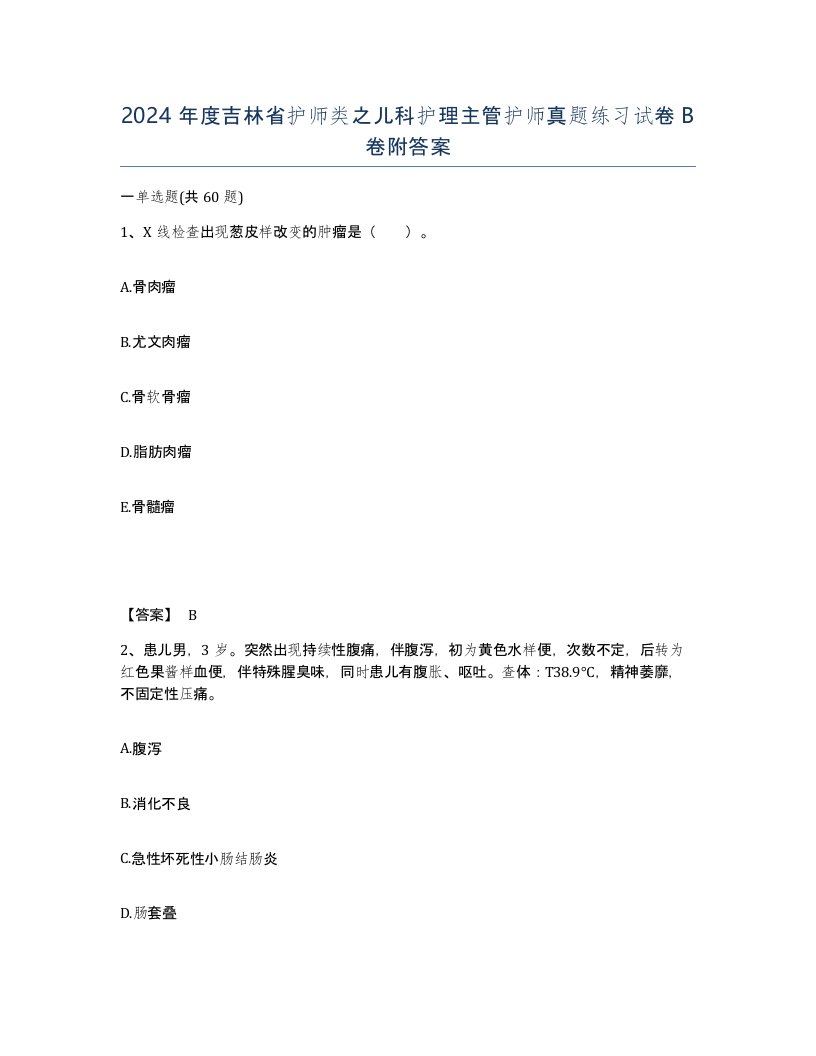 2024年度吉林省护师类之儿科护理主管护师真题练习试卷B卷附答案