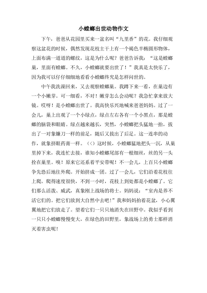 小螳螂出世动物作文