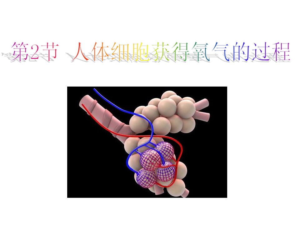 人体细胞获得氧气的过程