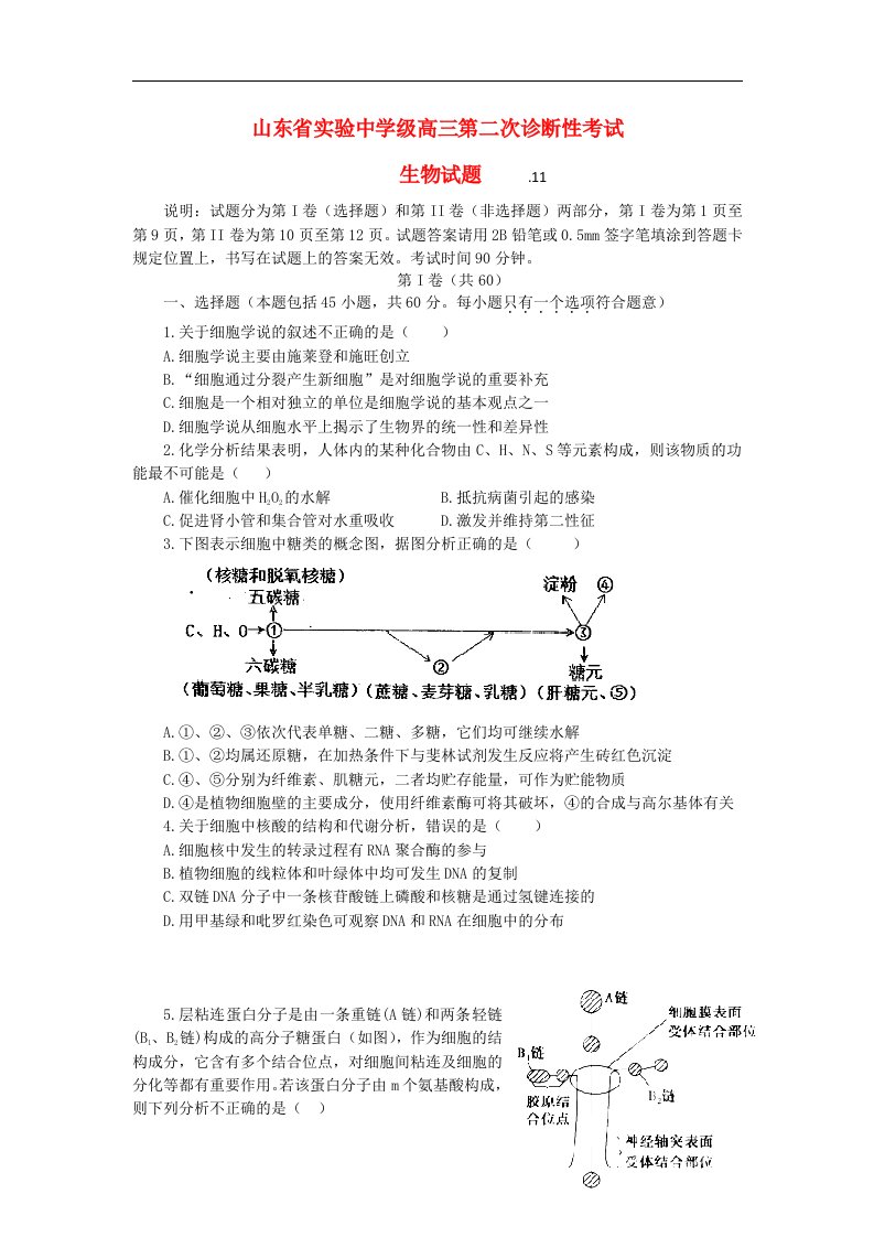 山东省实验中学高三生物第二次诊断性考试试题