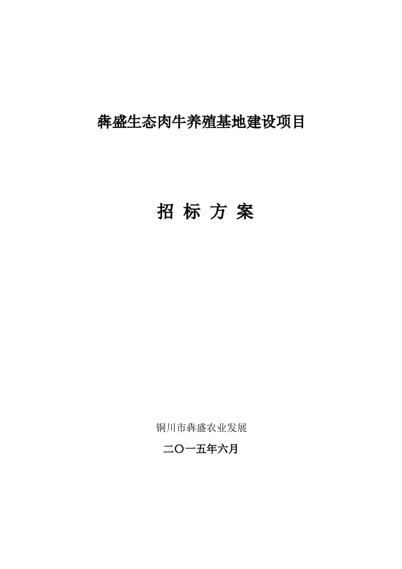 建设综合项目专项招标专项方案