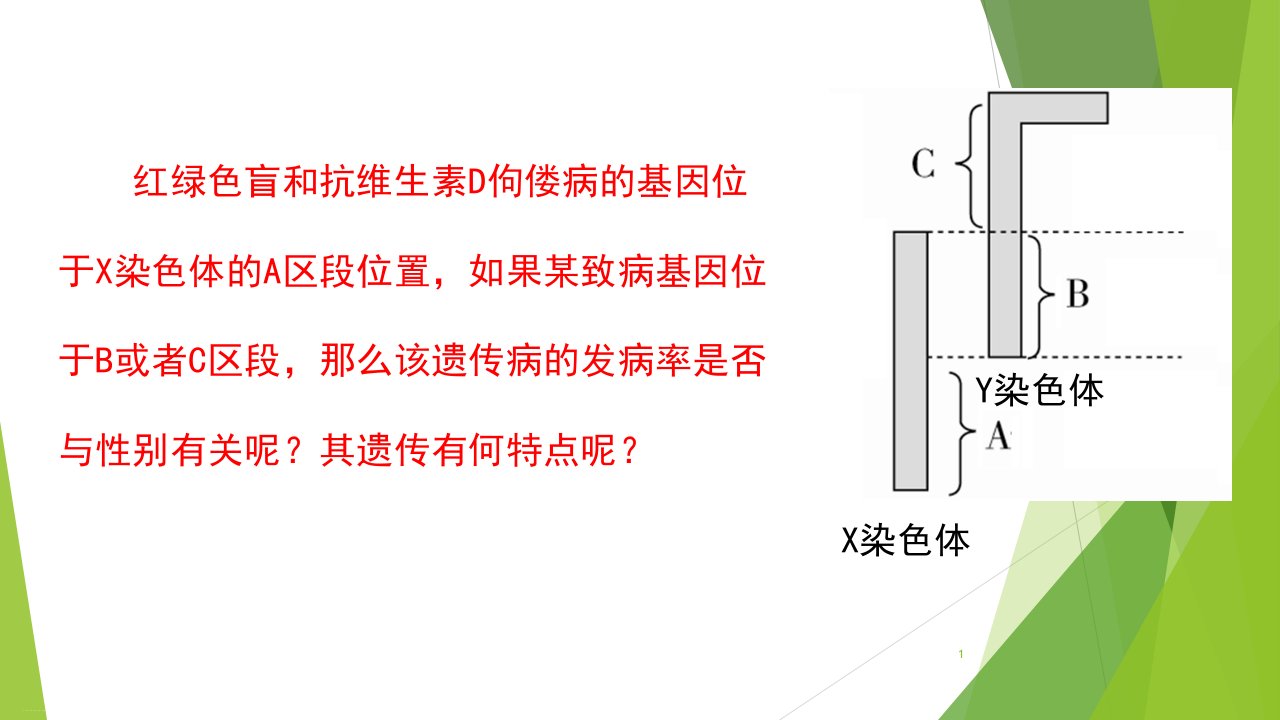 高一生物人教版必修二伴性遗传习题课教学ppt课件