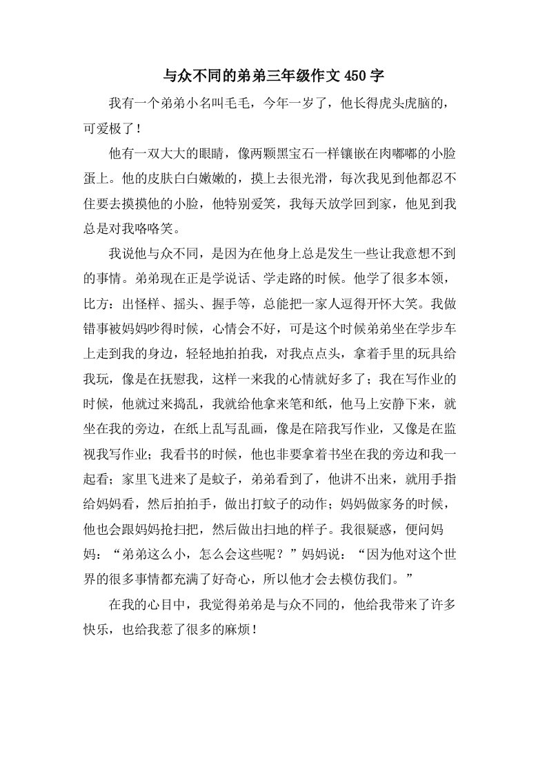 与众不同的弟弟三年级作文450字