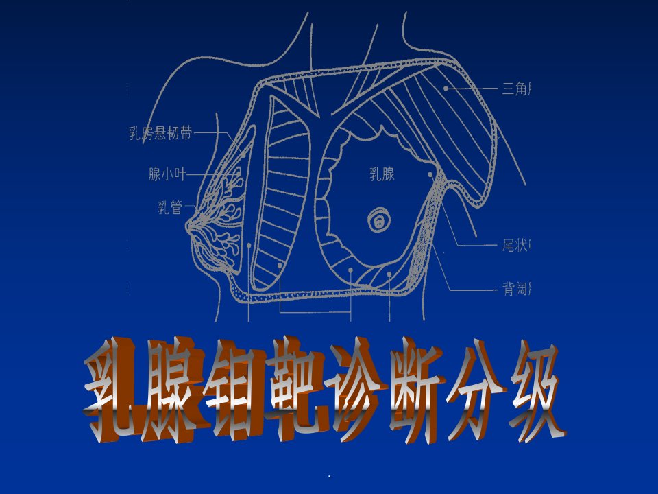 乳腺钼靶诊断分级标准ppt精选课件