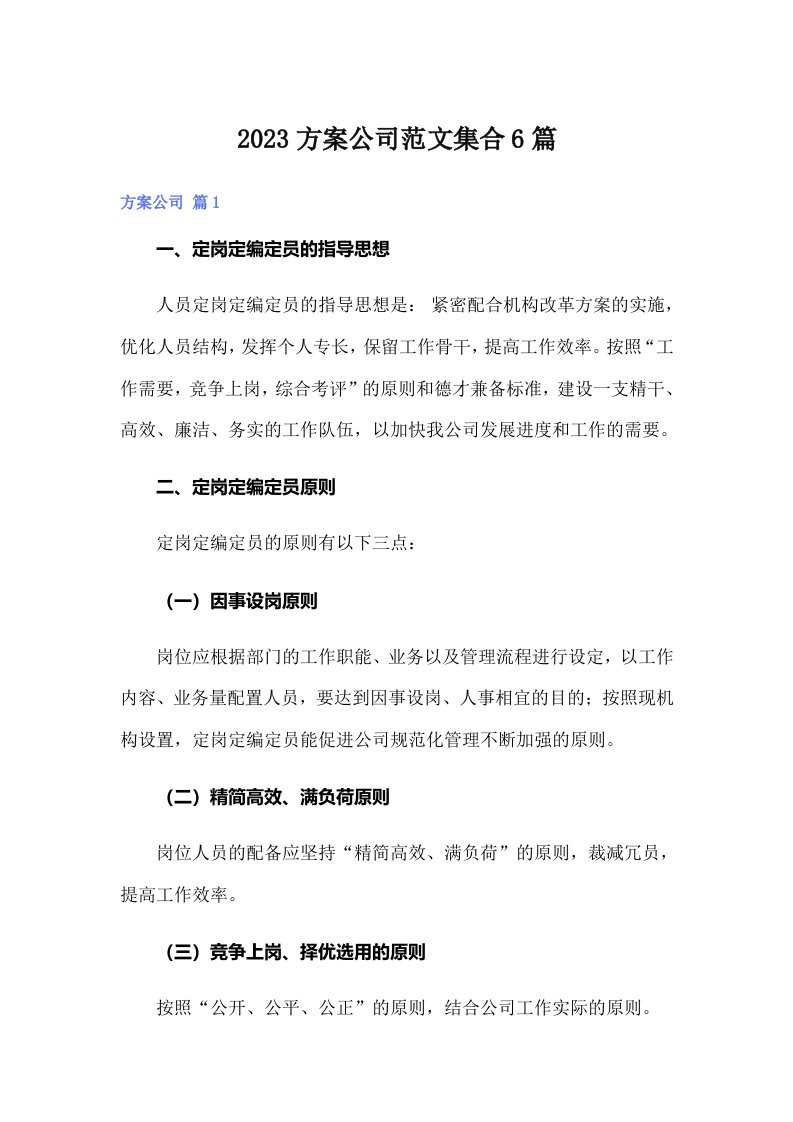 2023方案公司范文集合6篇