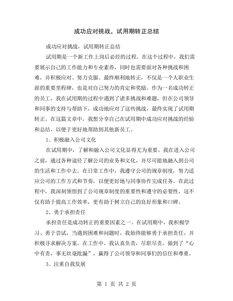 成功应对挑战，试用期转正总结