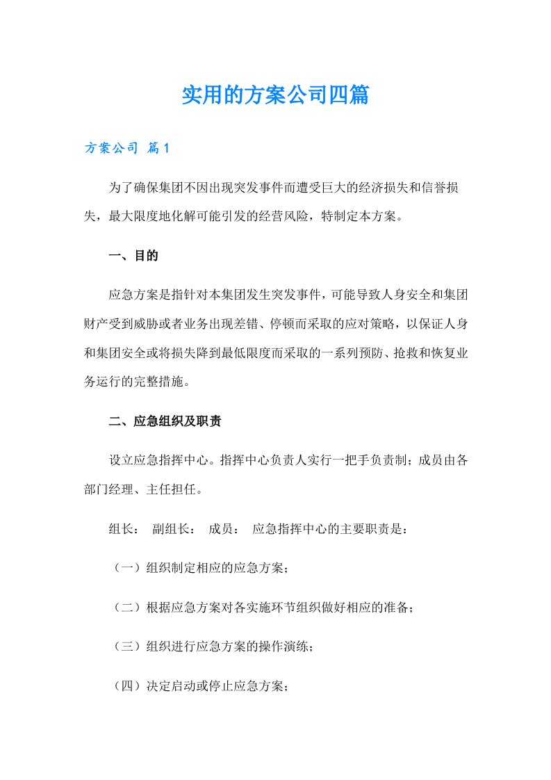 实用的方案公司四篇