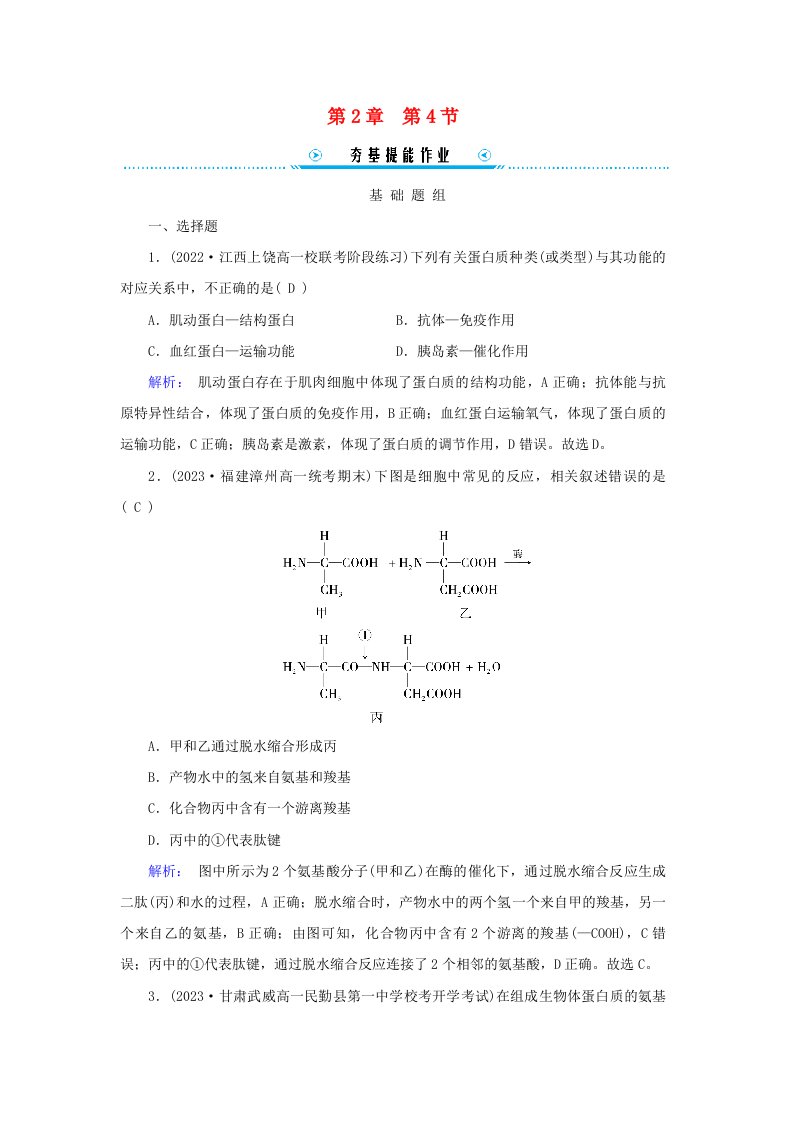 新教材适用2024学年高中生物第2章组成细胞的分子第4节蛋白质是生命活动的主要承担者提能作业新人教版必修1