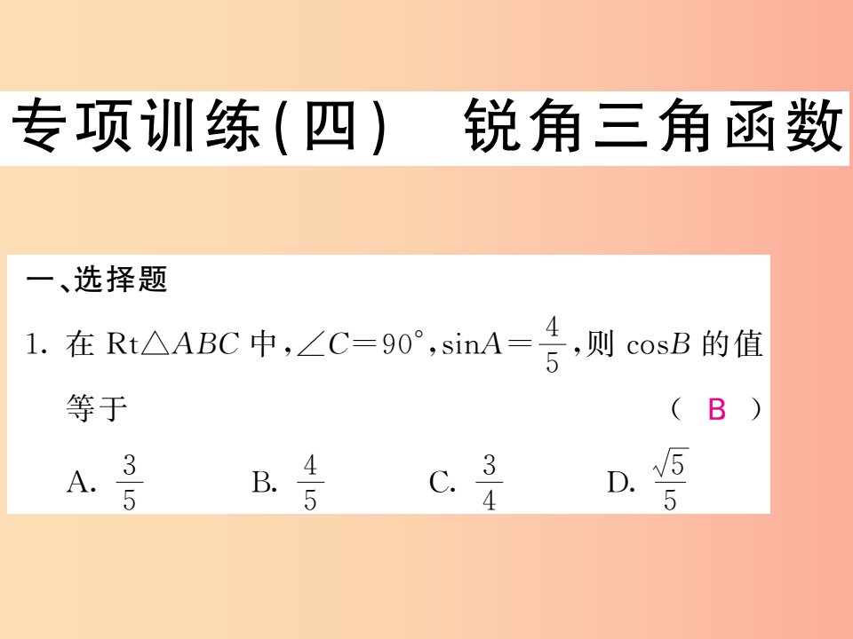 九年级数学下册专项训练四锐角三角函数习题课件新版湘教版