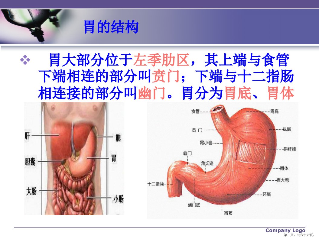 胃癌术后胃肠营养护理