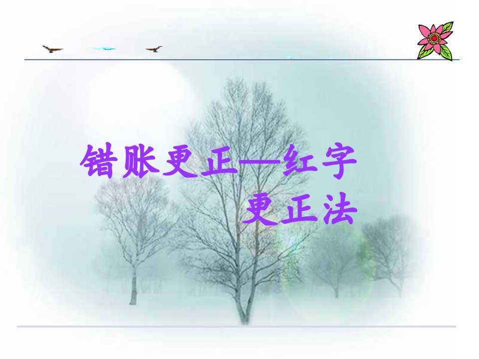 《错账更正-红字更正法》课件