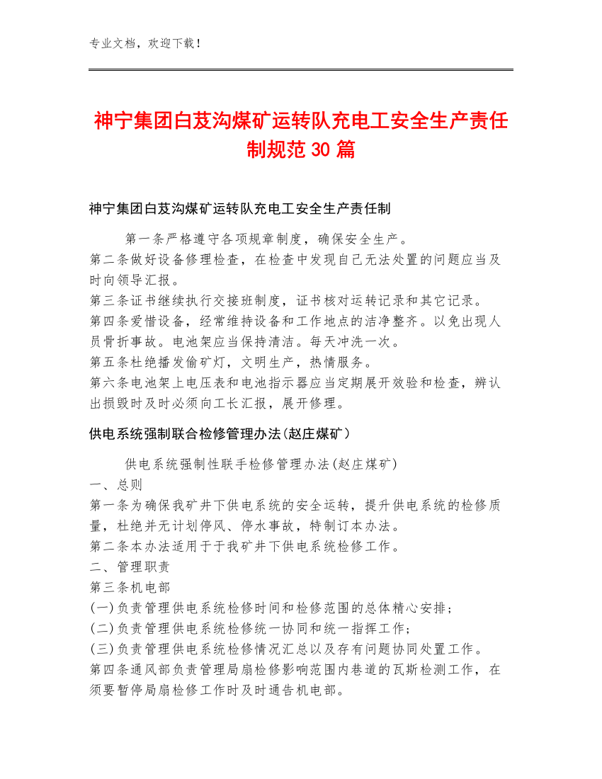 神宁集团白芨沟煤矿运转队充电工安全生产责任制规范30篇