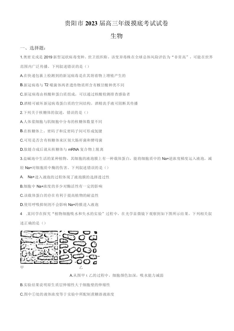 2023届贵州省贵阳市年高三上学期8月入学模拟考试生物试题（学生版+解析版）