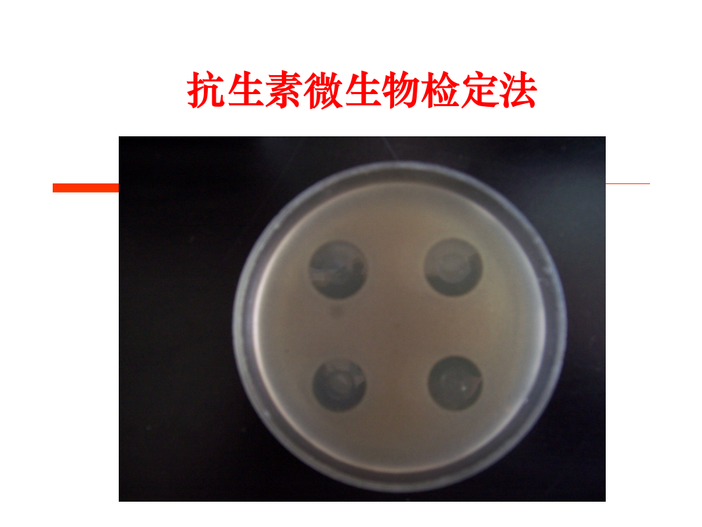 【源版】发酵分析—抗生素微生物检定法