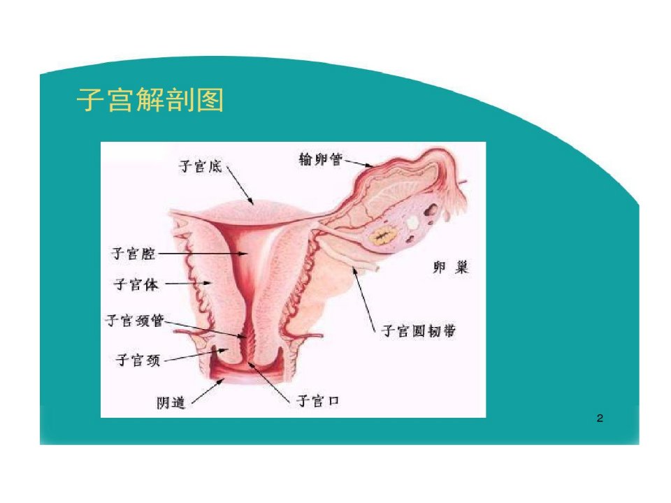 腹腔镜下全子宫切除术ppt参考课件