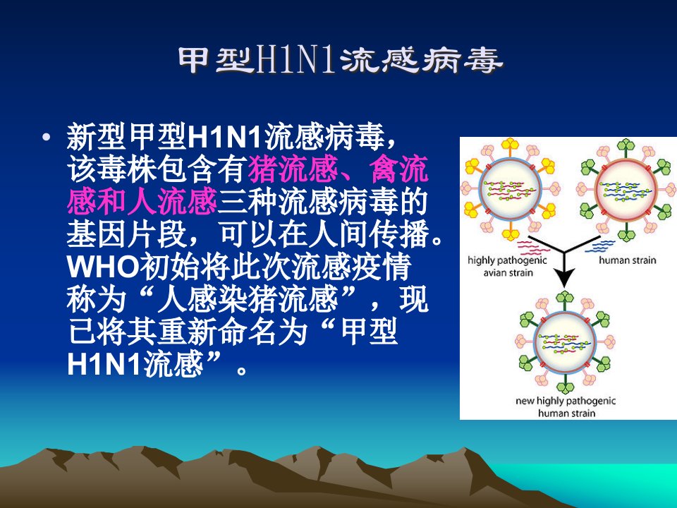 发热门诊工作流程既疫情报告