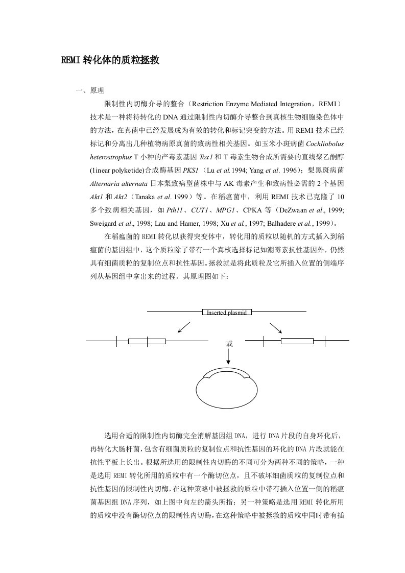 质粒拯救