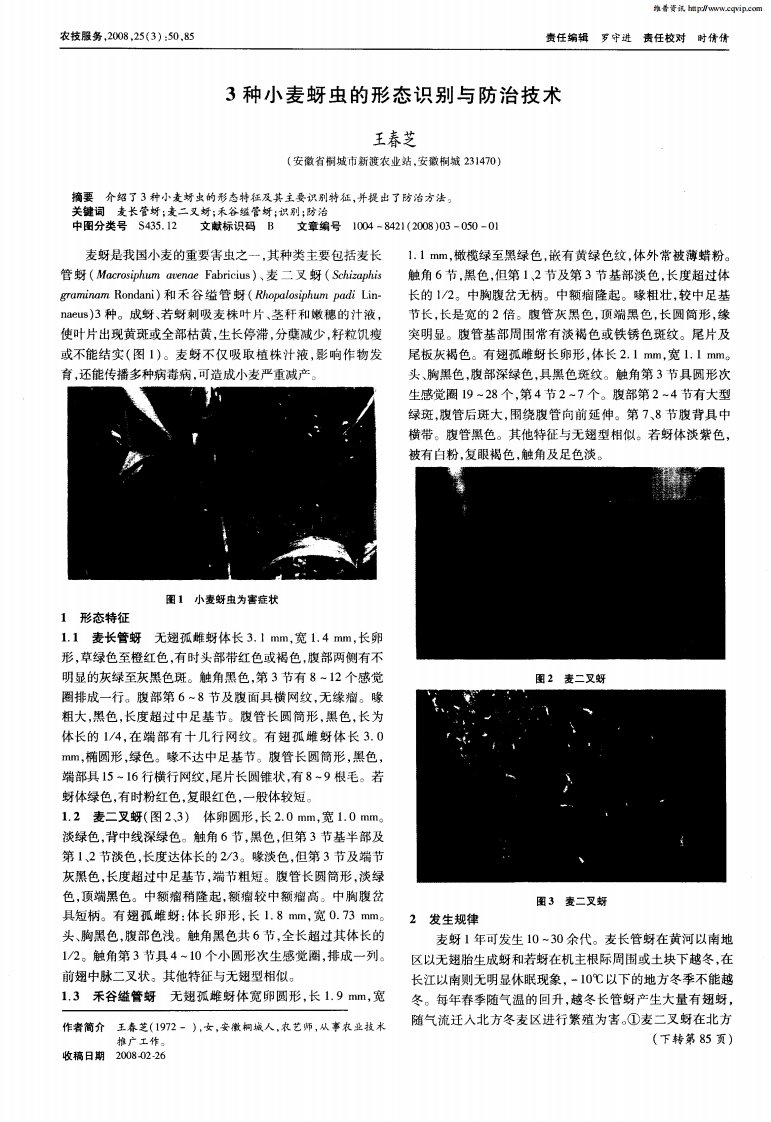 3种小麦蚜虫的形态识别与防治技术.pdf