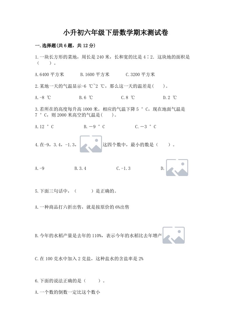 小升初六年级下册数学期末测试卷（历年真题）