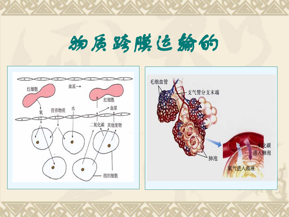 物质跨膜运输的方式讲