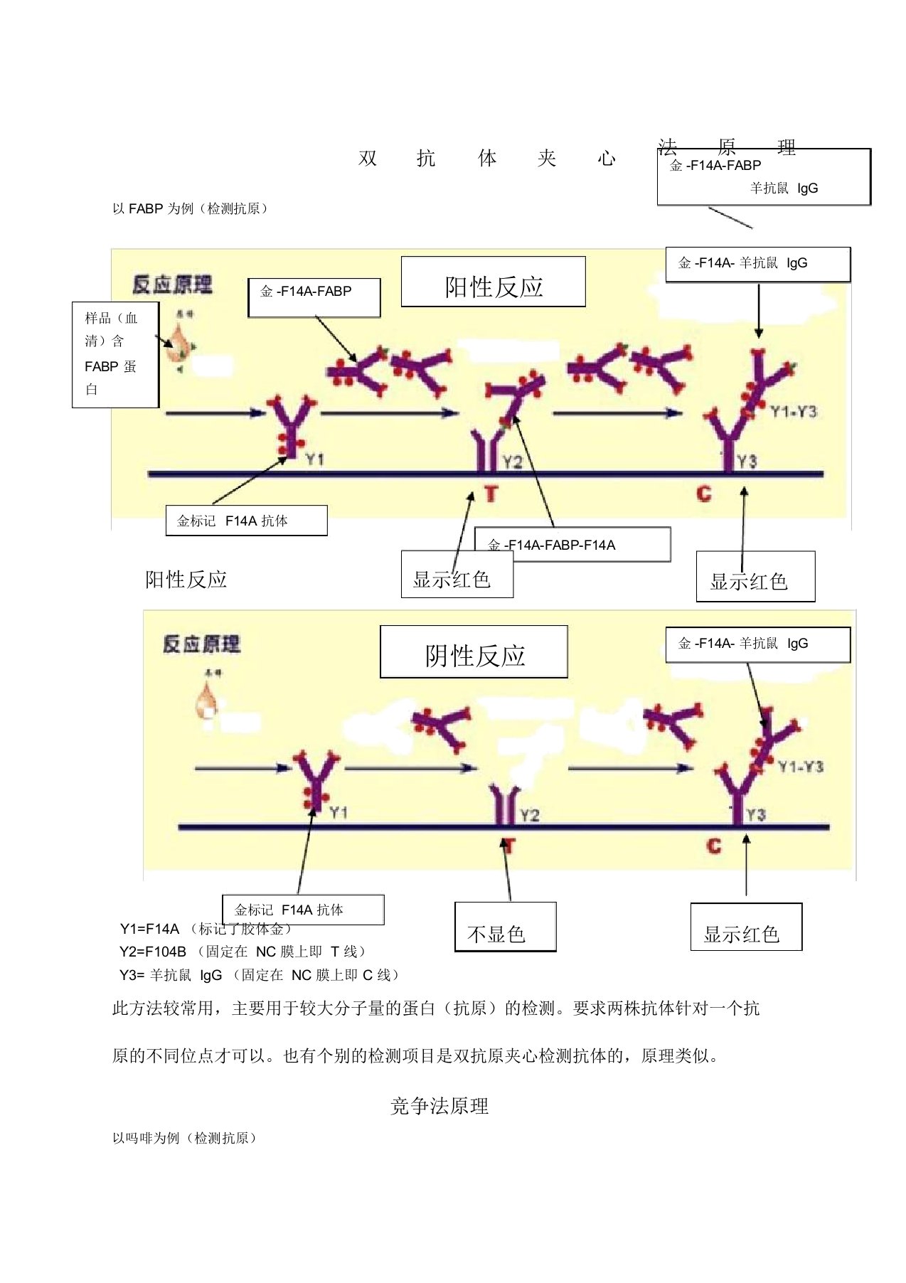 胶体金法各种方法法原理