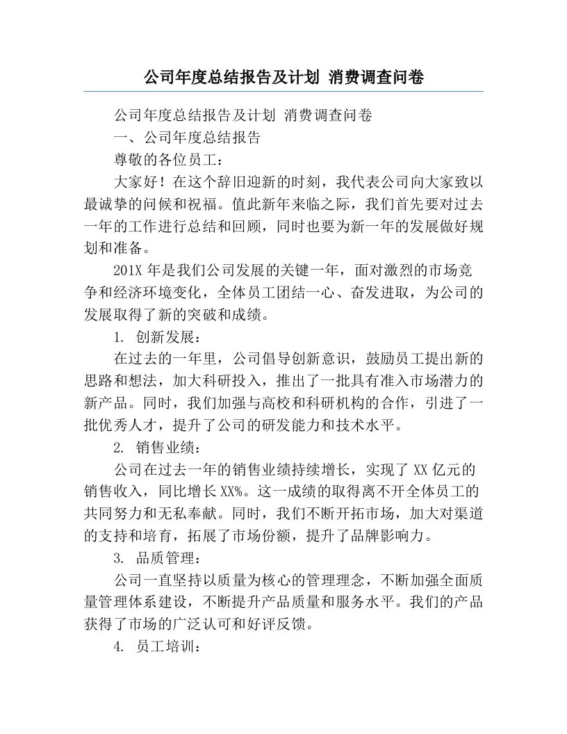 公司年度总结报告及计划