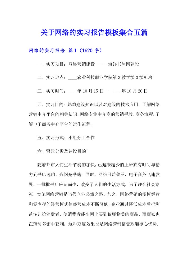 关于网络的实习报告模板集合五篇