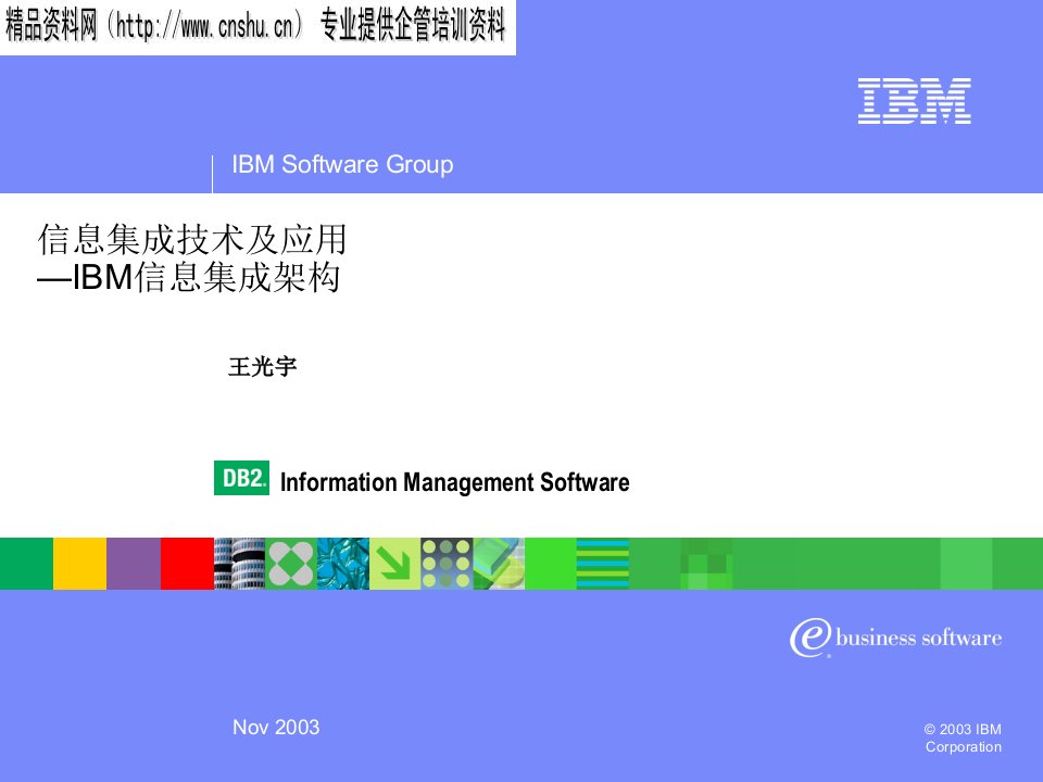 IBM信息集成架构管理分析