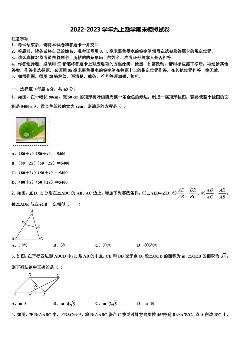 2022年云南省曲靖市沾益区大坡乡数学九年级第一学期期末质量跟踪监视模拟试题含解析