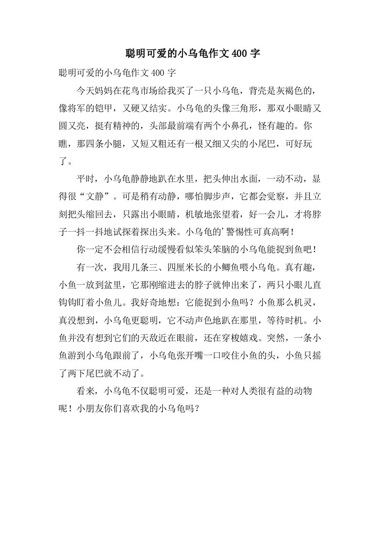 聪明可爱的小乌龟作文400字