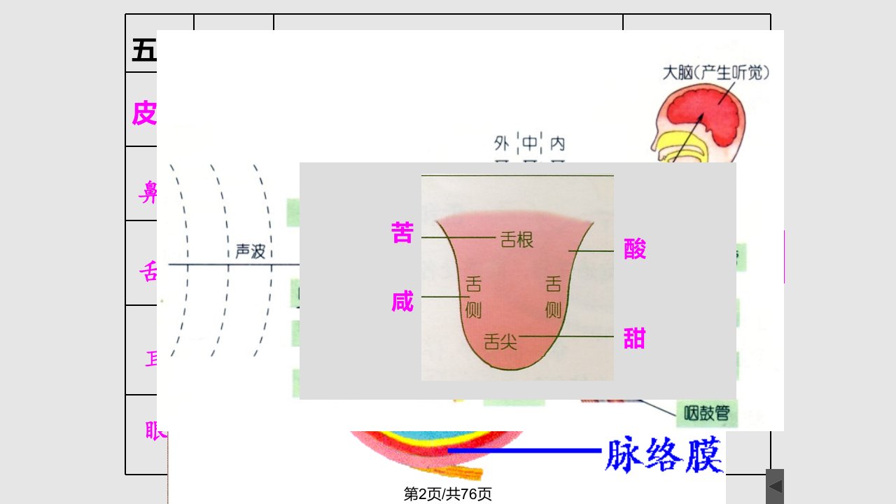 浙教七年级下光学复习