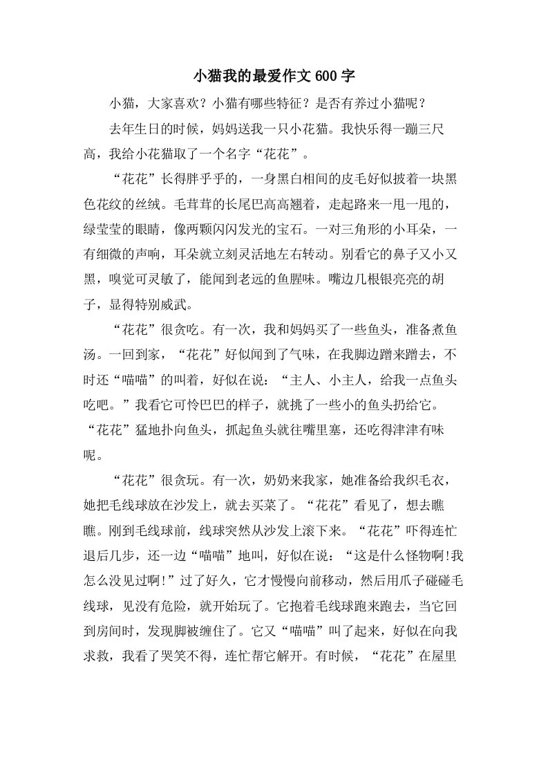 小猫我的最爱作文600字