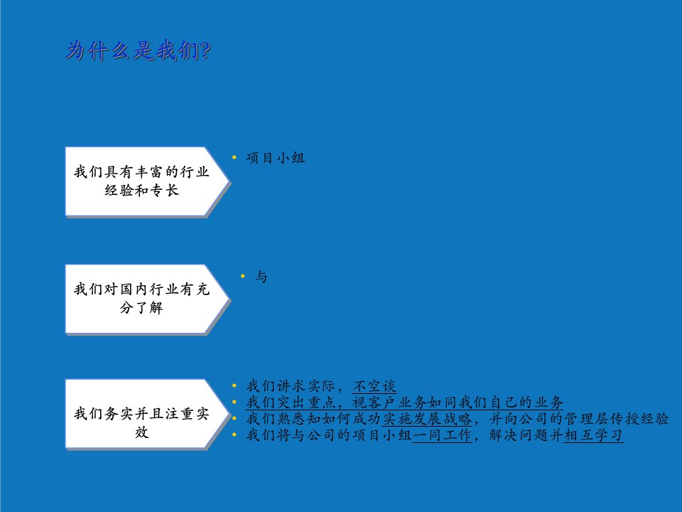 项目管理-麦肯锡项目建议书