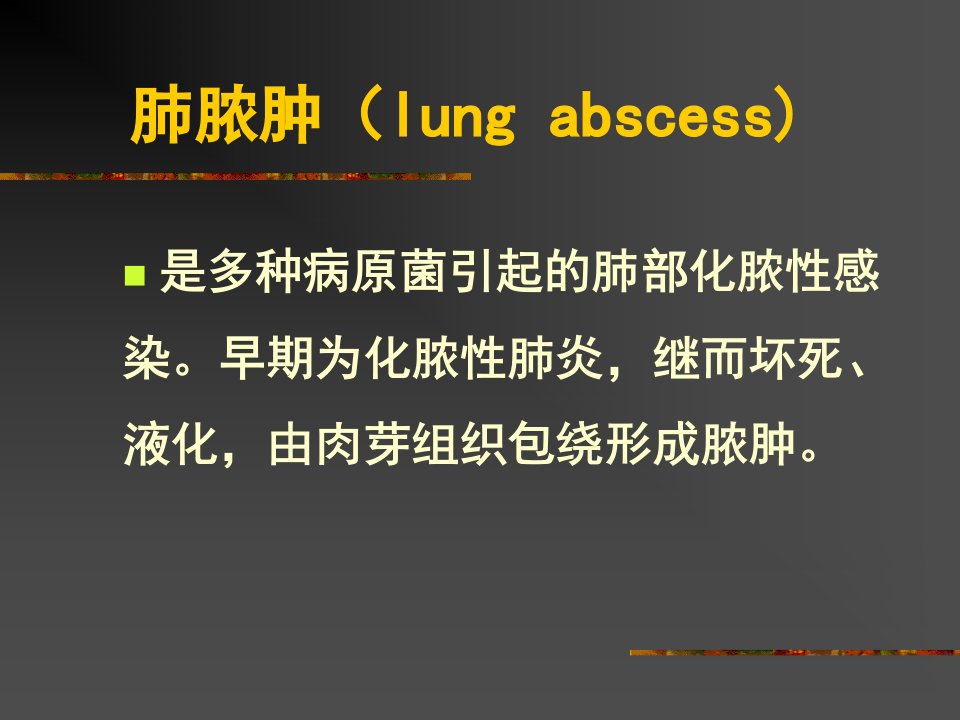 肺脓肿（lung