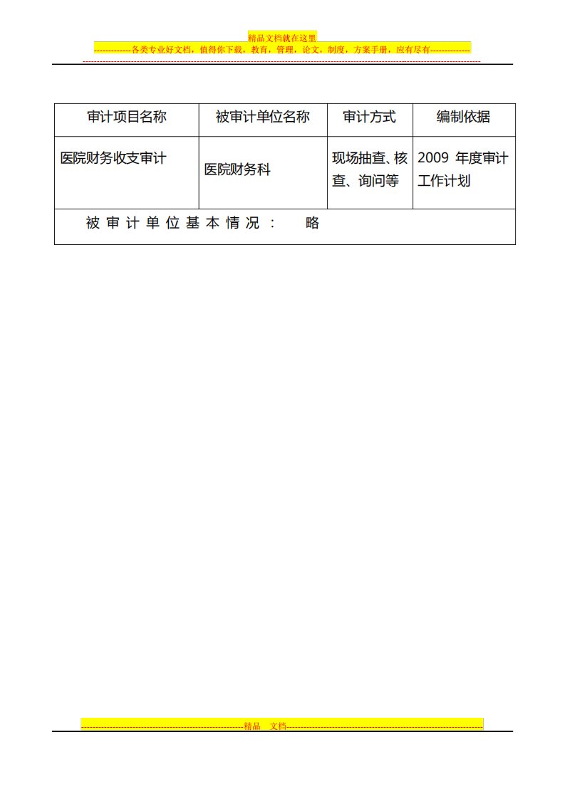 医院财务收支审计实施方案